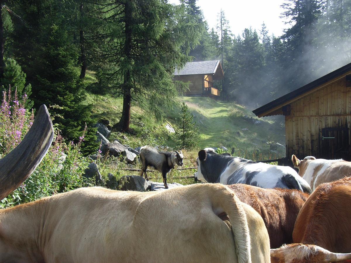 Ledererhof Apartments Sankt Jakob in Defereggen Bagian luar foto